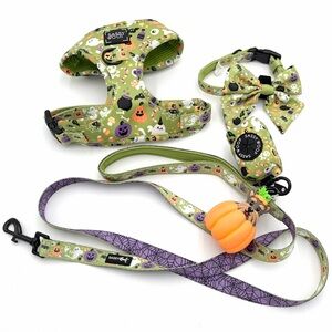Sassy Woof Haunt Mess Halloween Harness, Leash, and Collar Bundle Set Size Small